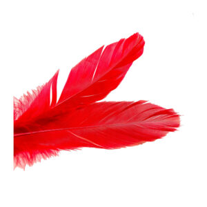 Be naughty tease-me kit