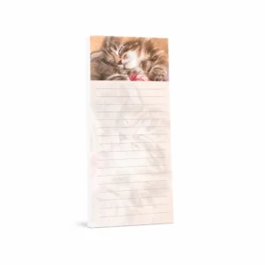 Magnetisk notatblokk katt